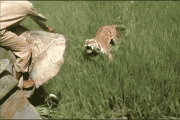 지리는 순간들 gif | 인스티즈
