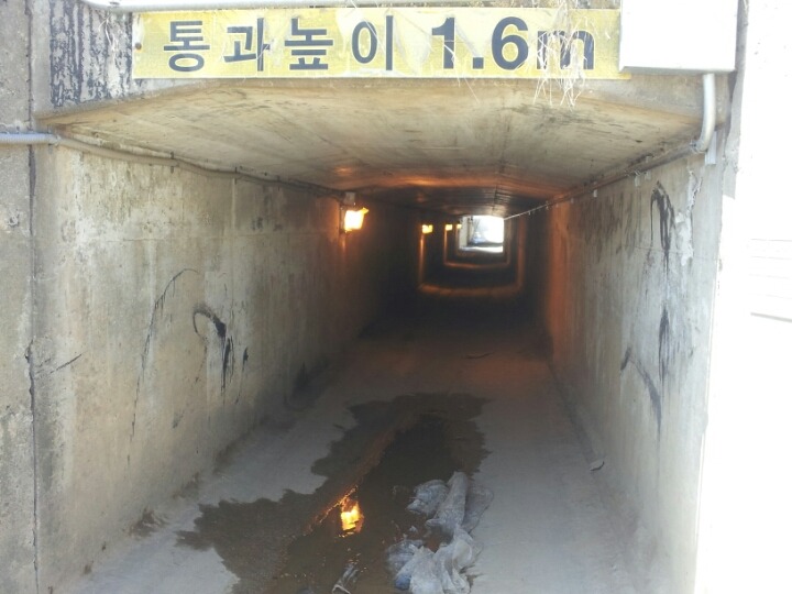 토끼굴 이미지