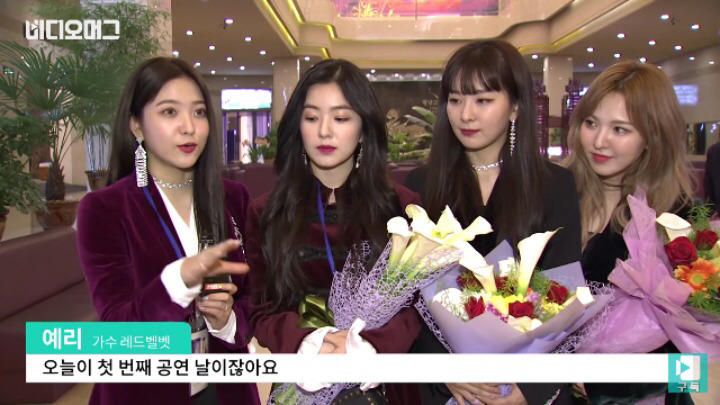 레드벨벳 평양 공연 후 인터뷰 전문 | 인스티즈