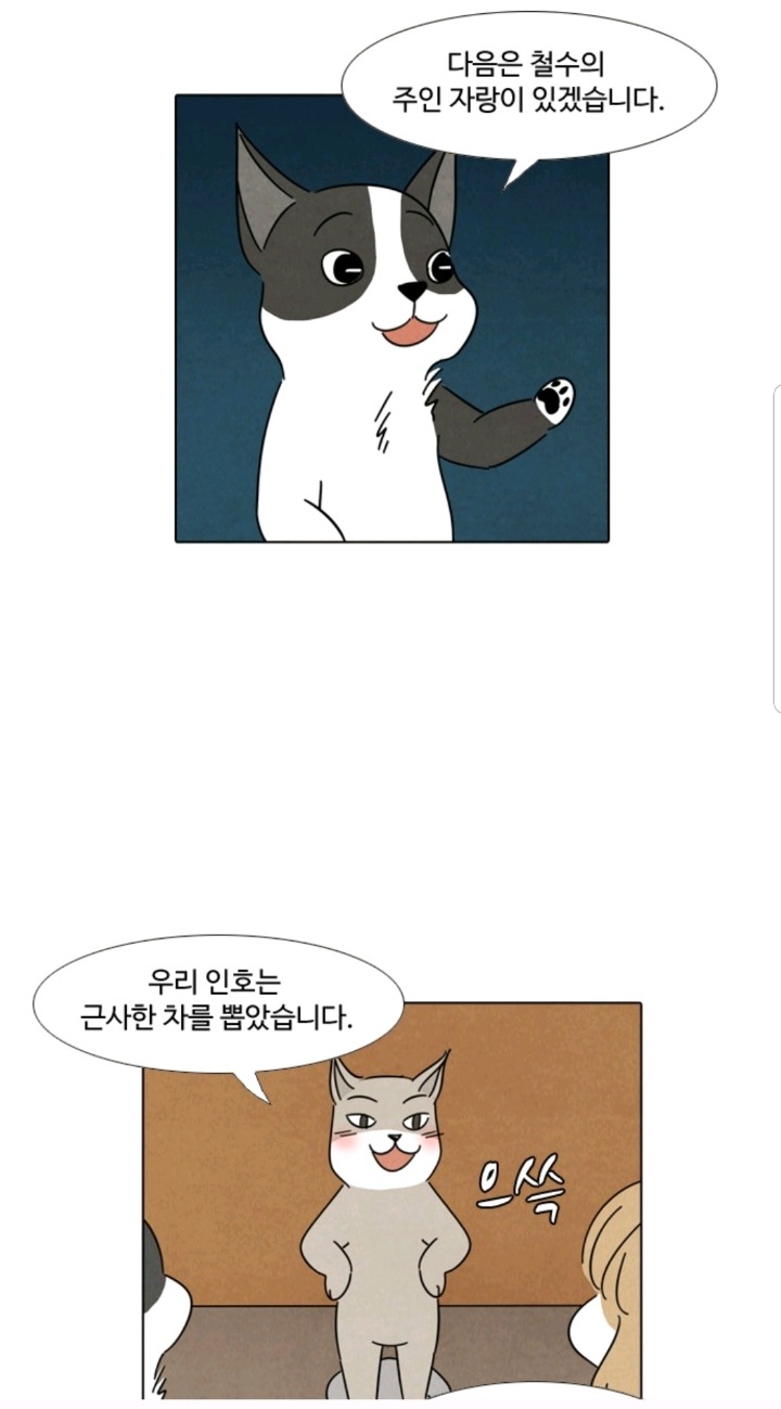 주인 자랑하는 댕댕이들 | 인스티즈