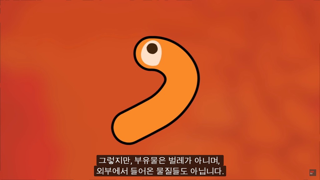 여러분의 눈에 둥둥 떠다니는 그것들은 무엇일까요? | 인스티즈