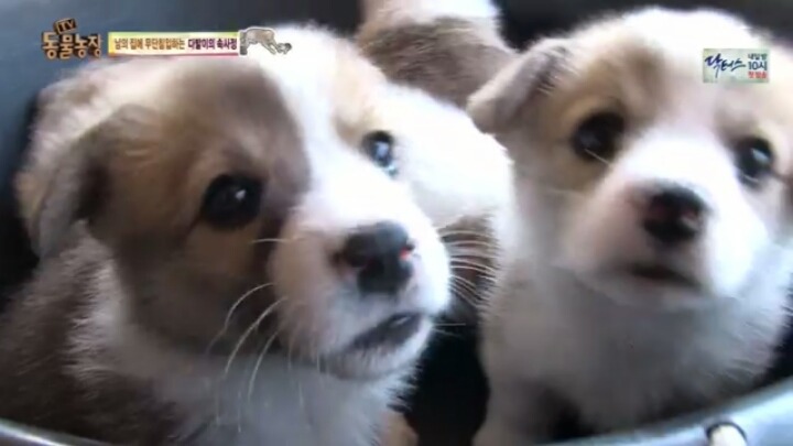 심장주의) 6남매들 | 인스티즈