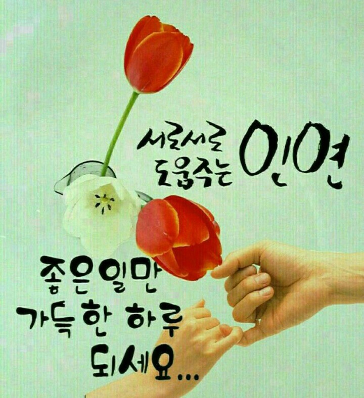 개인(개별)화물-20 이미지