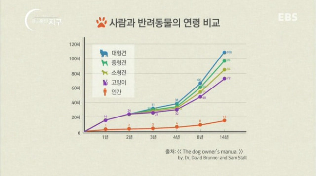 처음 반려동물 키우기 시작했을 때 너무 좋고 예뻐서 생각하지 못하는 것.jpg | 인스티즈