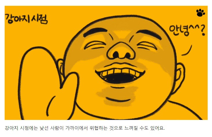 처음 만난 강아지와 인사하는 방법 | 인스티즈