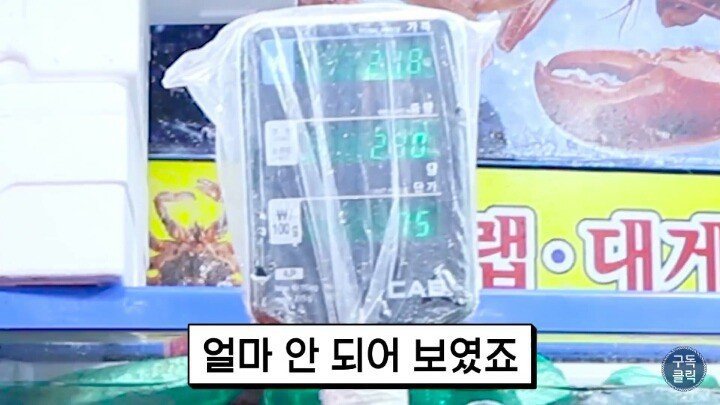 수산시장에서 바가지 안당하는법.JPG | 인스티즈