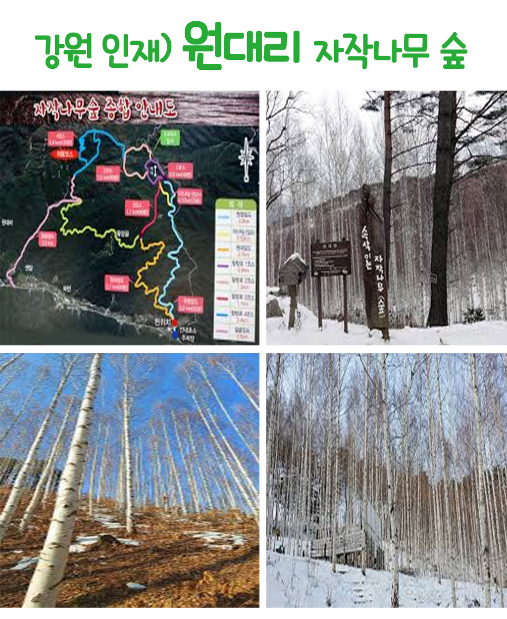 (주)씨엠트레킹투어 이미지