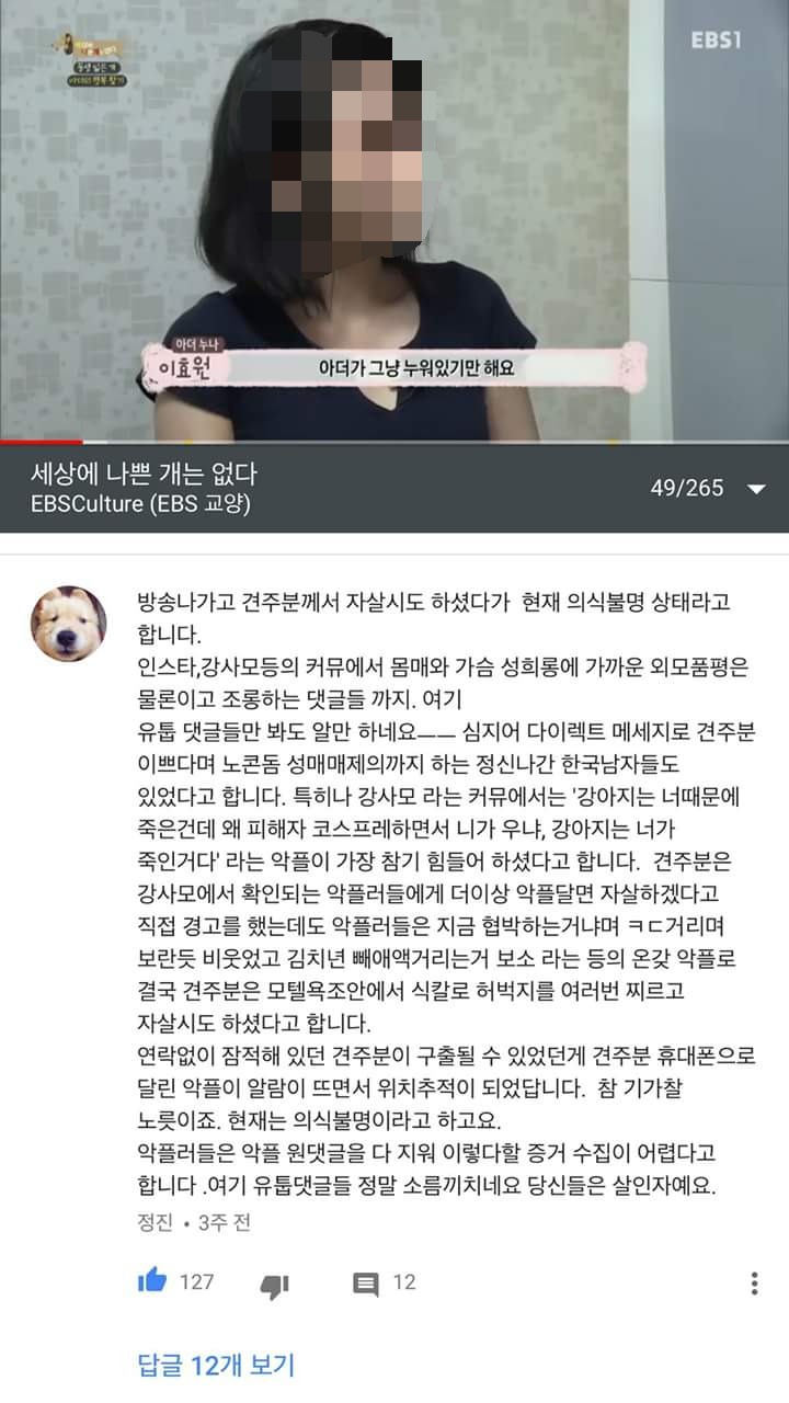 일반인 여성은 마음 편히 방송에 나오지도 못한다. (애견 방송에서조차 품평당하는 여성들) | 인스티즈