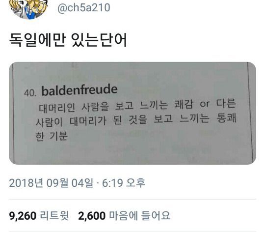 독일에만 있는 단어 | 인스티즈