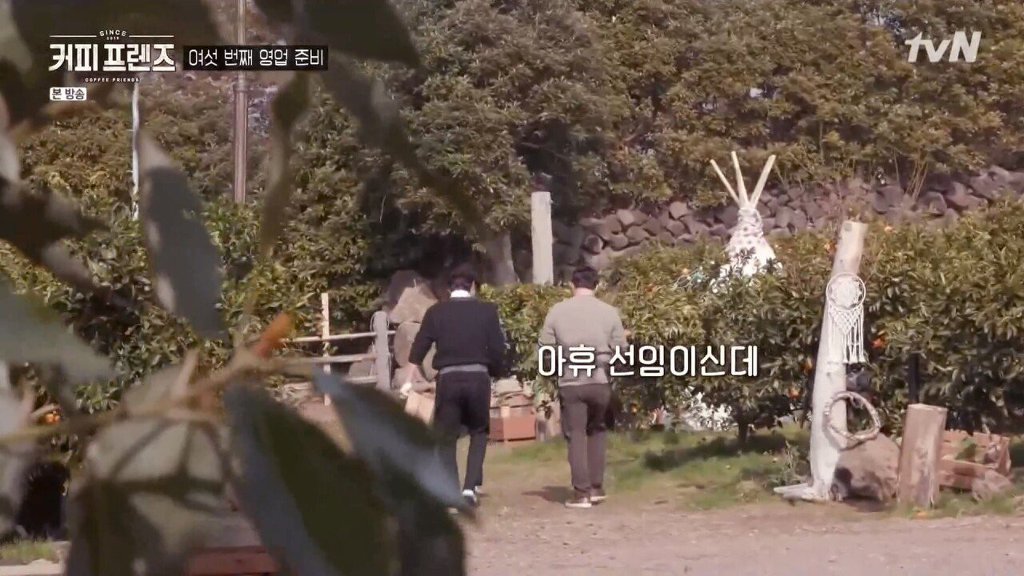 제주도에 알바하러간 백종원 | 인스티즈