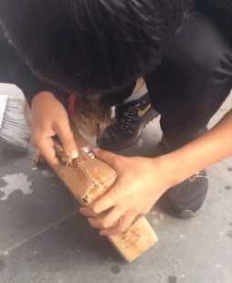 박스 깔끔하게 뜯는 방법.gif | 인스티즈