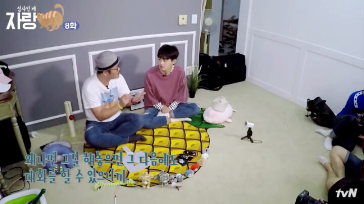 이과가 또... (ft.고양이와 말을 할 수 있다면?) | 인스티즈