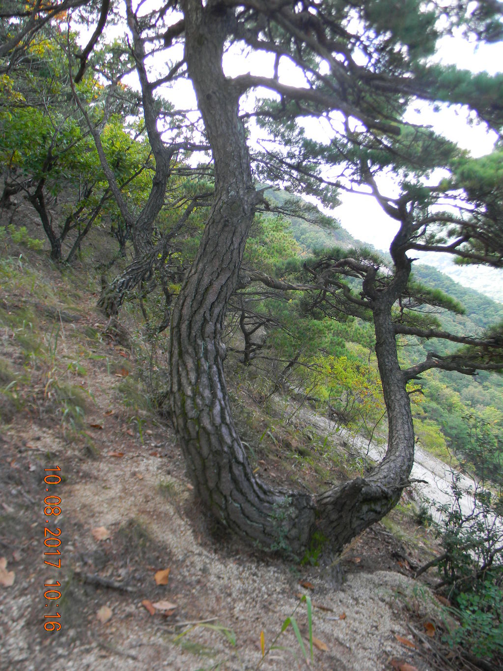 용화정 이미지