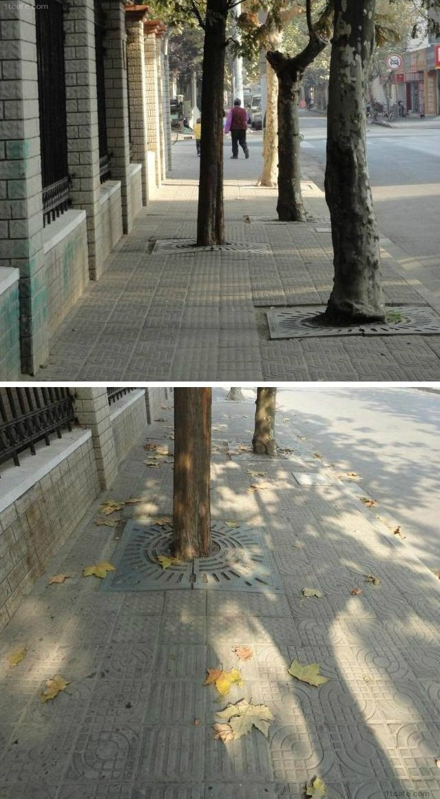 중국에 장님이 없는이유.jpg | 인스티즈