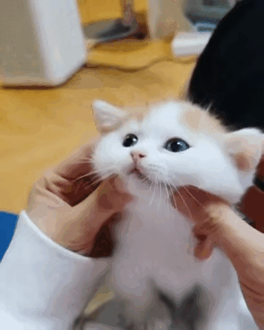 강지영 최애 음식.jpg | 인스티즈