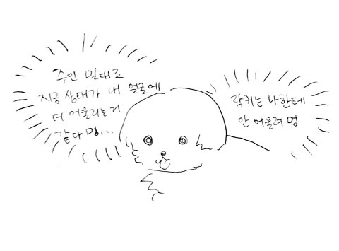 아름다운 애완인간 | 인스티즈
