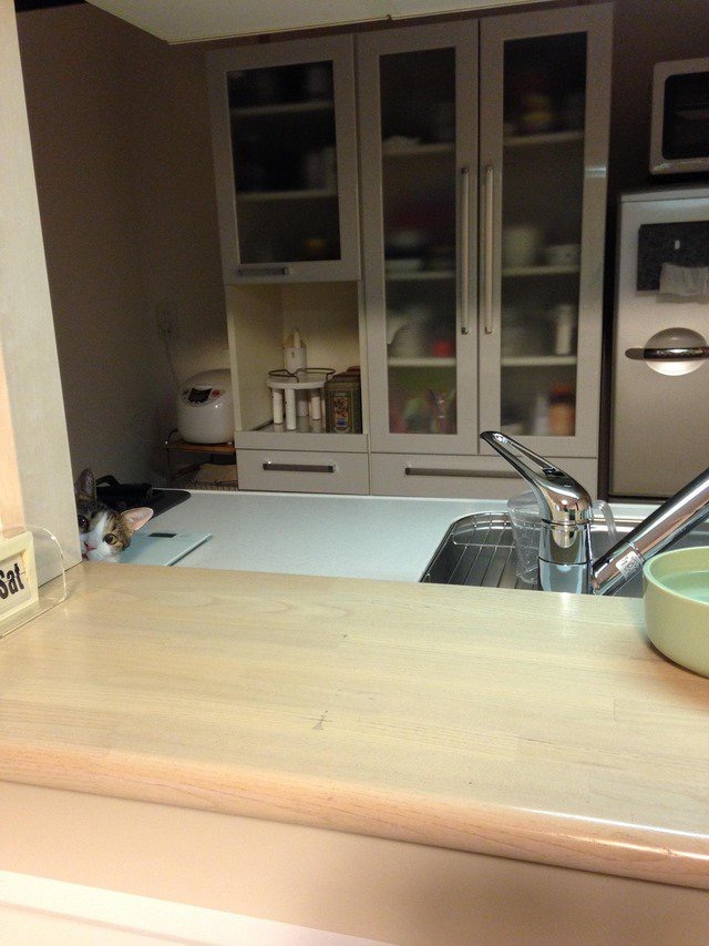 집사 감시 | 인스티즈