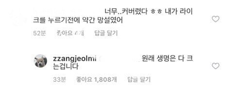 절미가 너무 커버려서 좋아요 누르기가 망설여진다는 댓글에 절미언니 대댓.jpg | 인스티즈