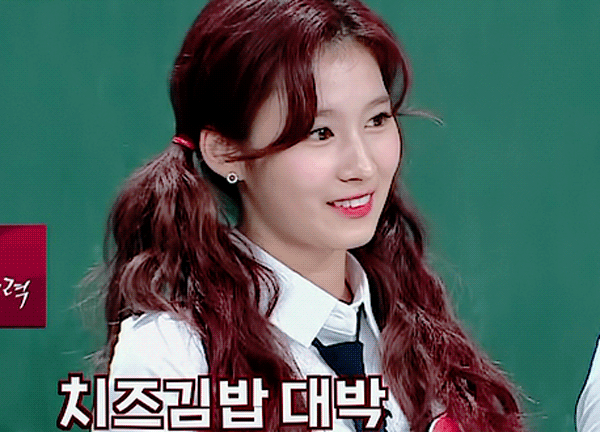 시바견인가 다람쥐인가....... 사나 | 인스티즈