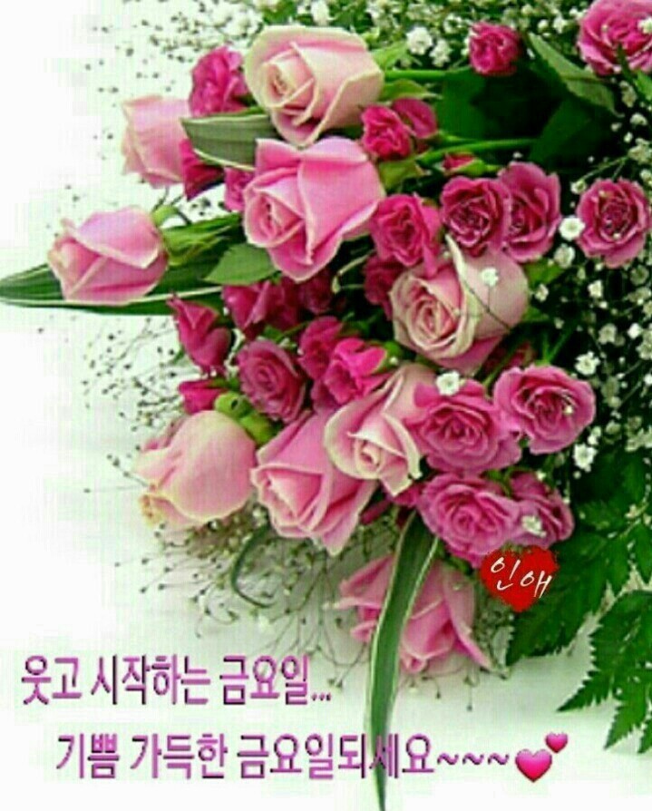 행복한날 이미지