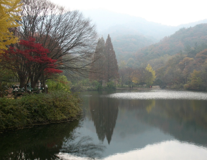 엔학고레 이미지