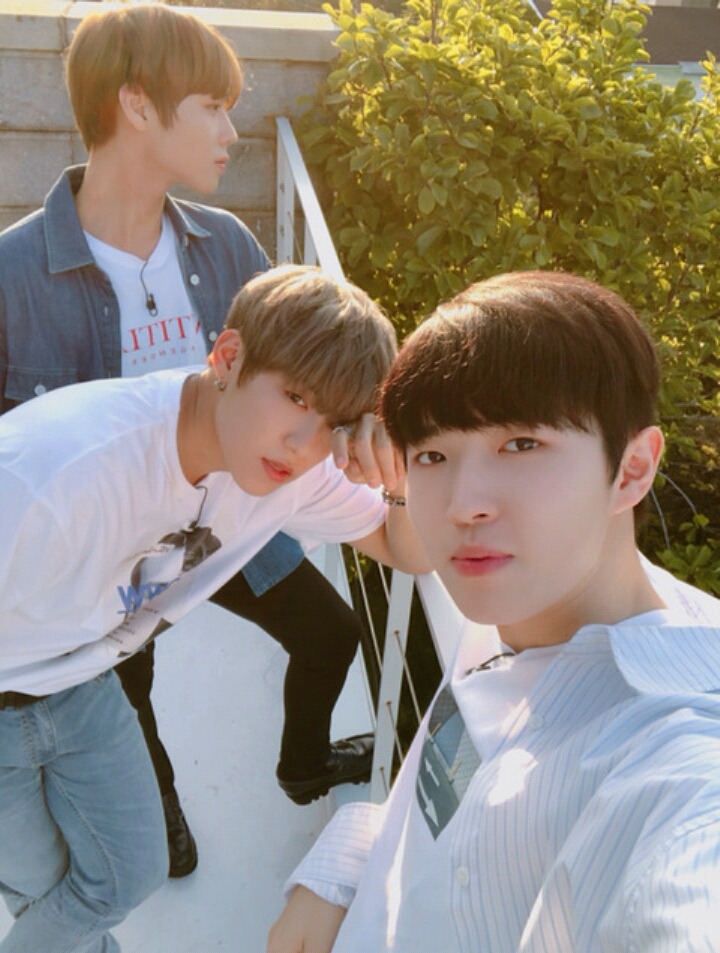 우진저울 이미지