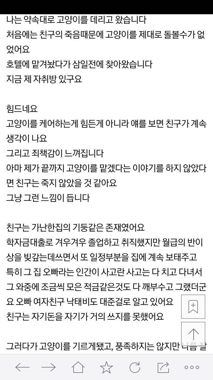 죽은친구가 맡기고 간 고양이 | 인스티즈