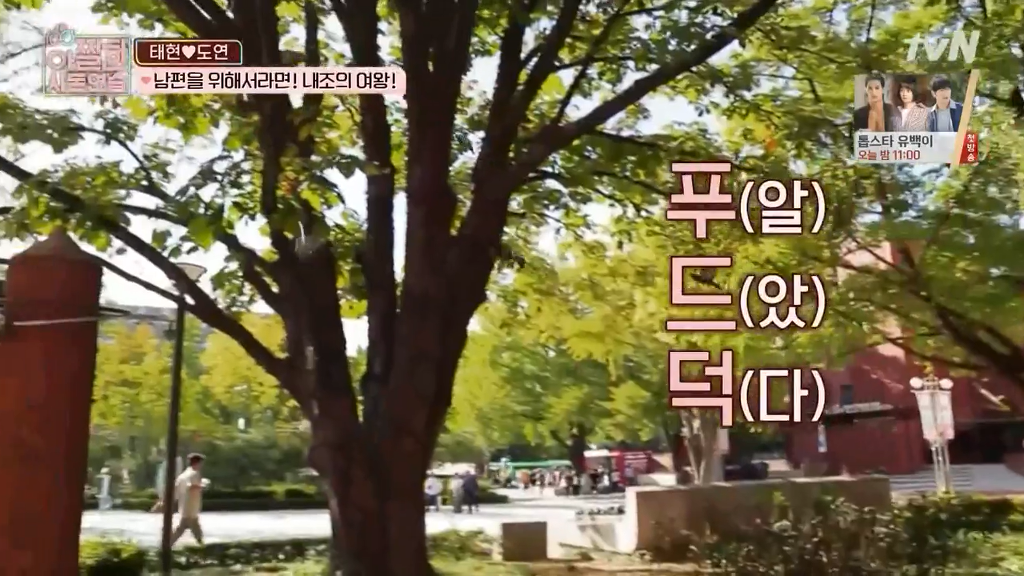 [아찔한사돈연습] 대학로에서 버스킹 하는 장도연과 남태현 | 인스티즈