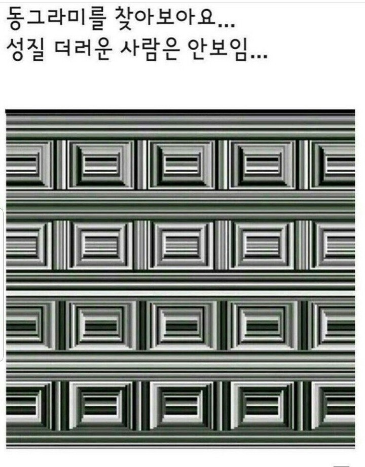 동그라미 이미지