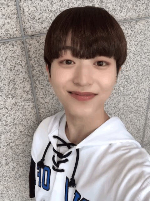 라운 이미지