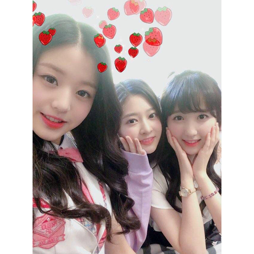 [아이즈원] 공식 인스타 업데이트(Feat.장원영 Day / 그녀와 멤버들) | 인스티즈