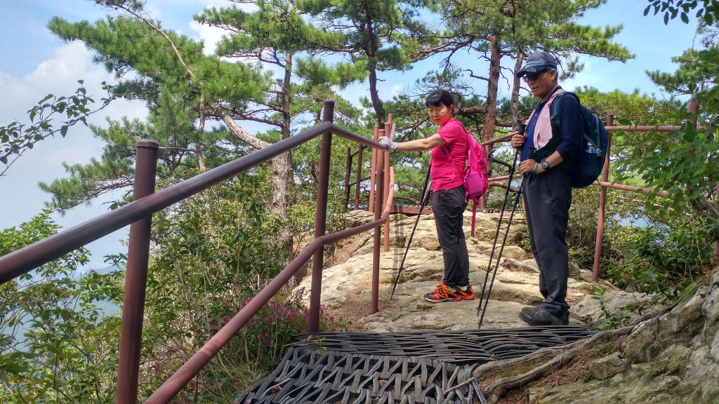 치악환경 이미지