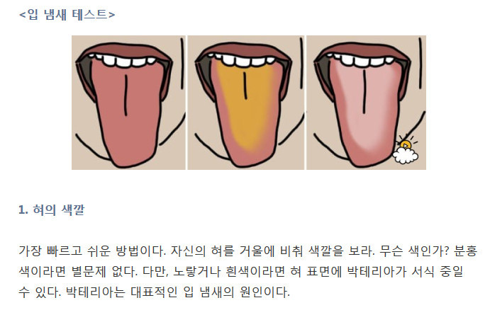알면서 말 못하는 입 냄새..이렇게 없애라 | 인스티즈