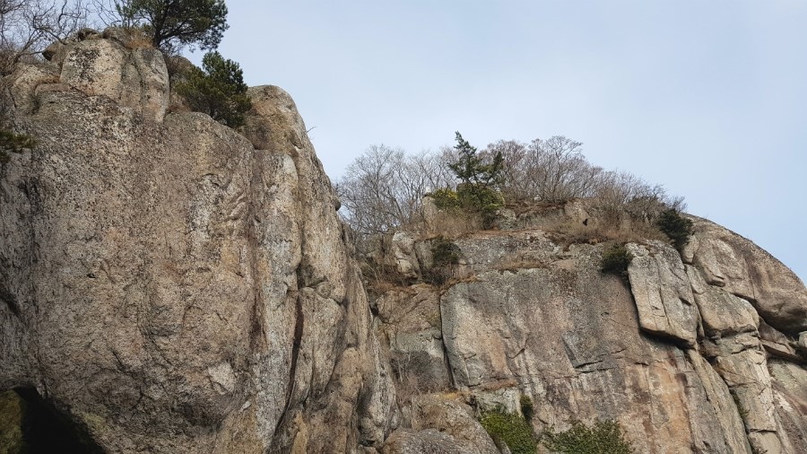 신하통상 이미지