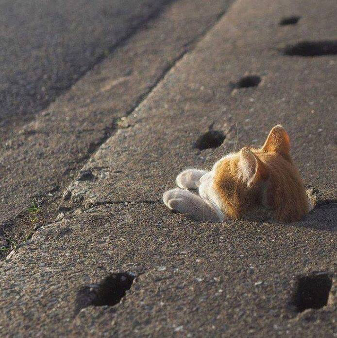 🌸니가 왜 거기서 나와?🌸 | 인스티즈