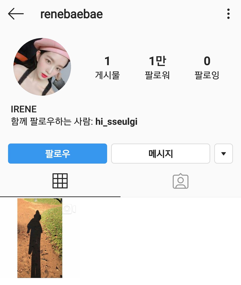 인스타그램 개인 계정 오픈한 레드벨벳 아이린.insta | 인스티즈
