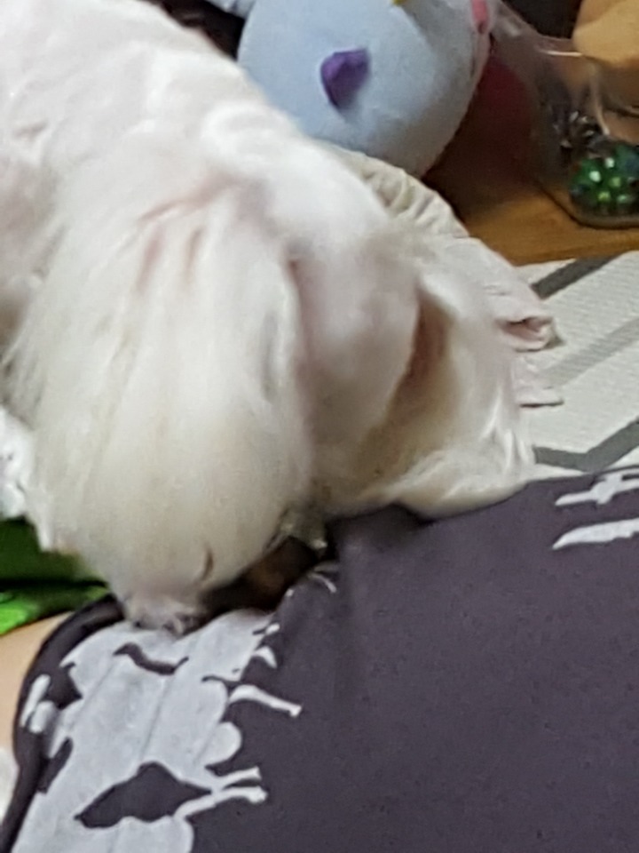 울엄마간식 이미지