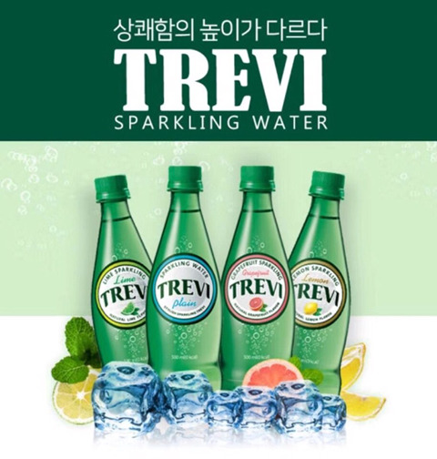 트레비 이미지
