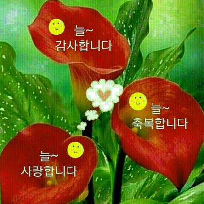 행복한 아침 이미지