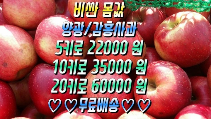 감홍 이미지