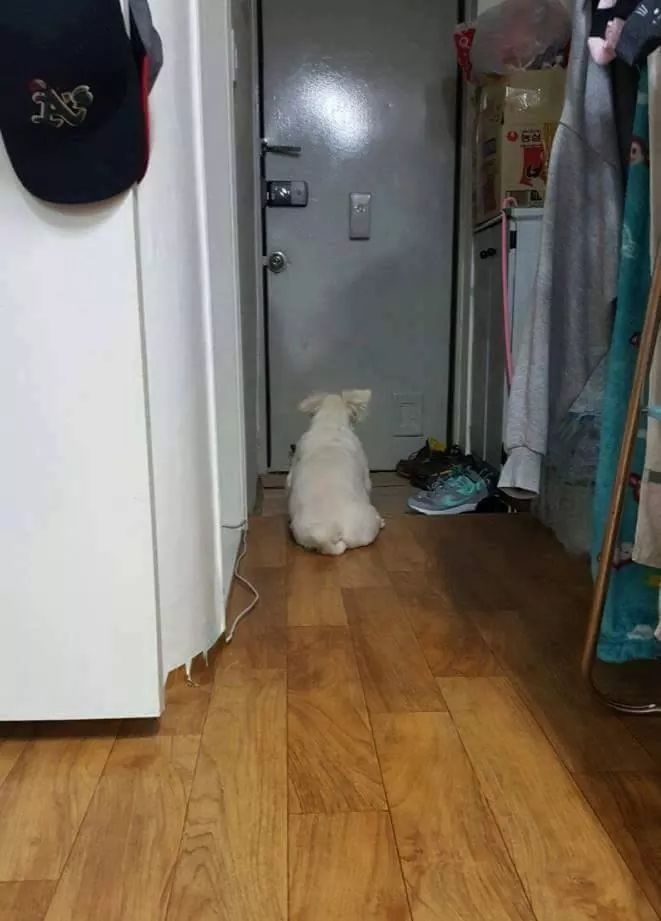외출한 가족 집에 빨리 돌아오게 하는 방법.jpg | 인스티즈