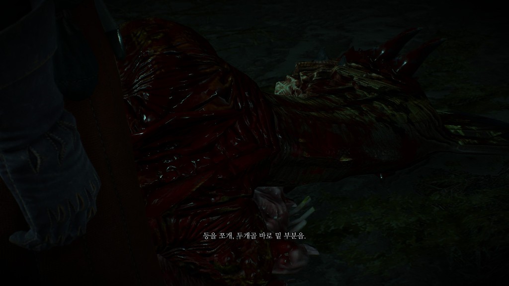 포크테일 이미지