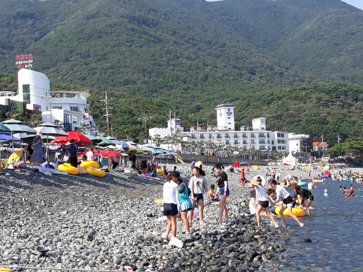 고고씽 이미지