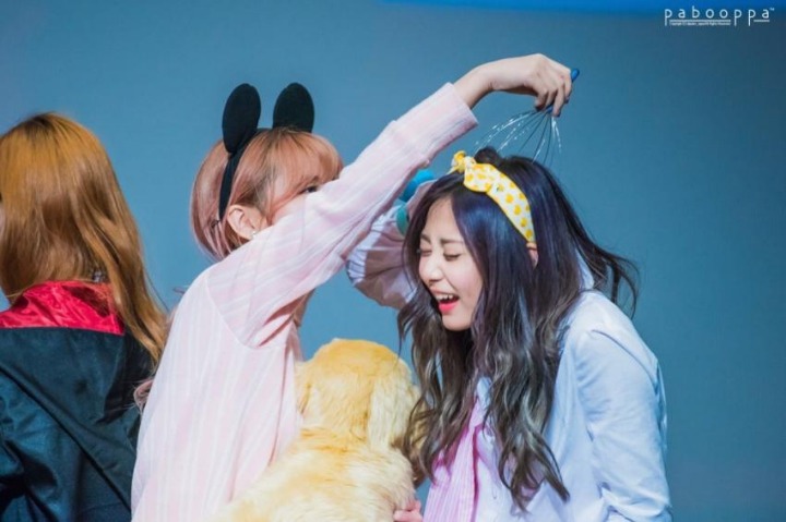 트와이스 멤버들이 쯔위를 다루는법 ㅋㅋㅋㅋㅋㅋ | 인스티즈