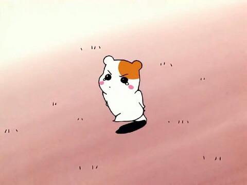 주야대게 이미지