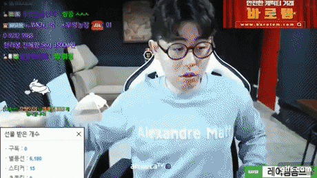 bj의 별풍 리액션 강아지 소환술 | 인스티즈