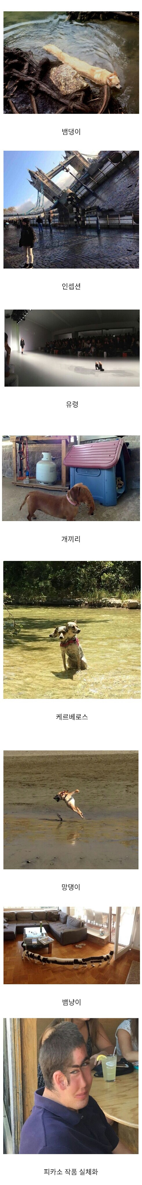 파노라마 사진 실패작 | 인스티즈