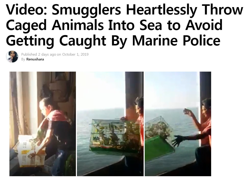 인도네시아에서 동물들을 바다에 던지는 밀수업자 | 인스티즈