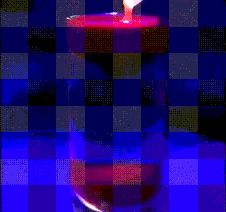 일본에서 금지된 칵테일.gif | 인스티즈