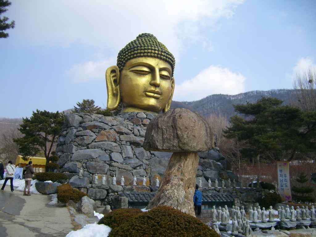 와!우 이미지